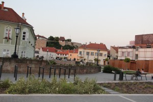 IMG 0461